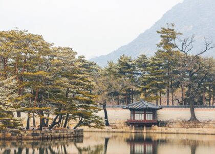 SaaS sales professional Seoul - Recruitment