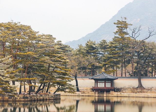 SaaS sales professional Seoul - Recruitment