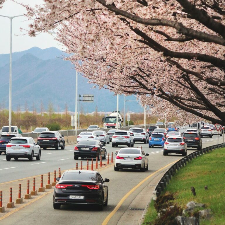 Navigating South Korea E-9 Quota Changes and Hiring Requirements for Industrial Employers