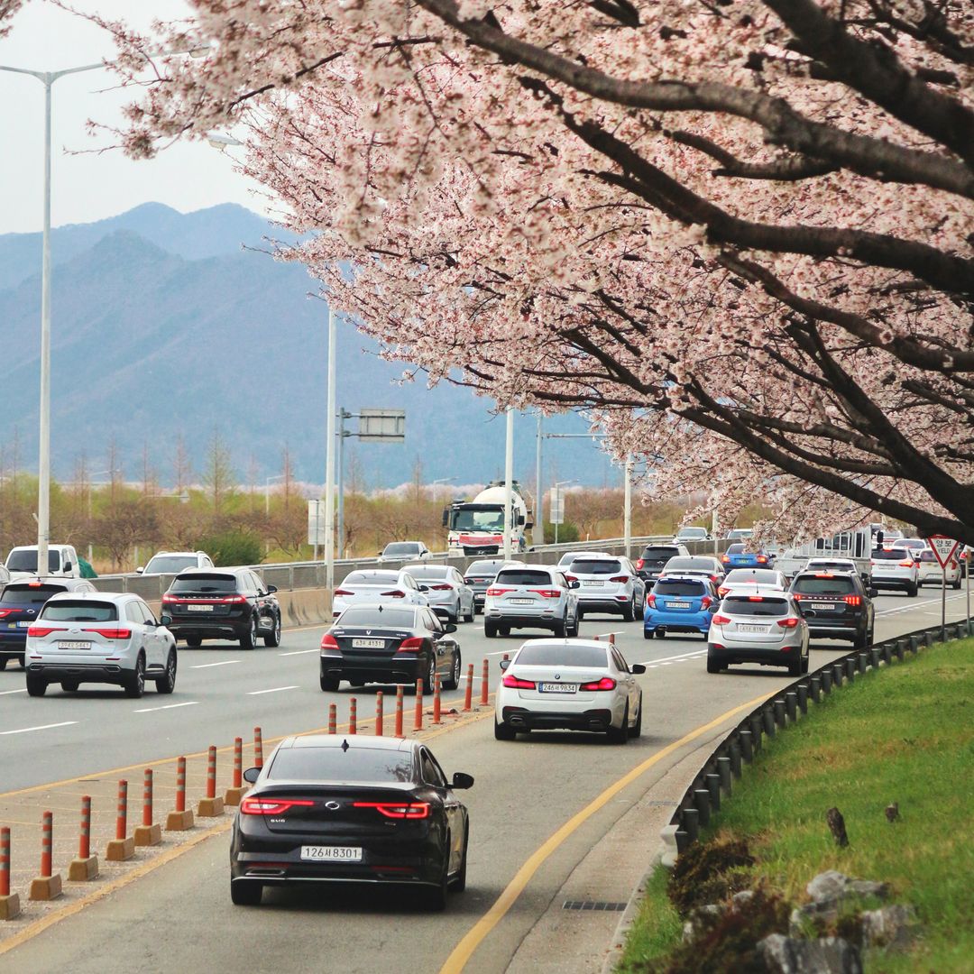 Navigating South Korea E-9 Quota Changes and Hiring Mandates for Corporate Sponsors
